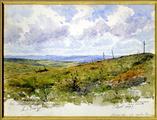 FRAD071-053 Edmond et Charles COLLARD, deux frères dans la guerre