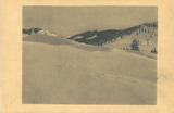 Feldpostkarte von Horst Hamm