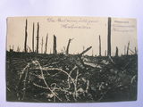 Ansichtskarte eines zerstörten Waldes, Priesterwald (Frankreich)